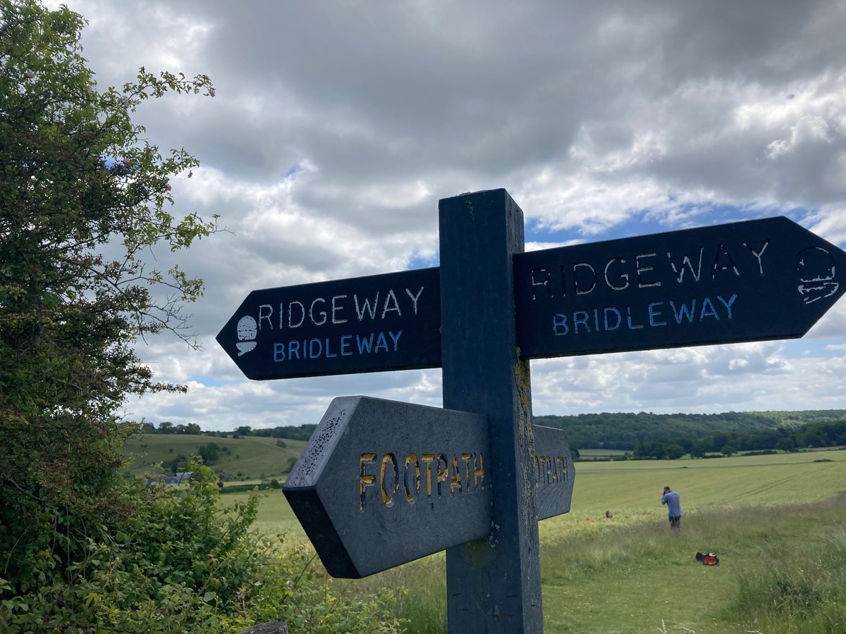 A signpost with arrows pointing to different directions Description automatically generated